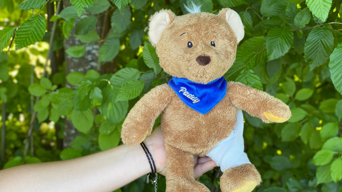 Werde Paddy Pate und sichere dir exklusiv einen Teddy Paddy